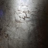 Fort Wayne Globetrotters